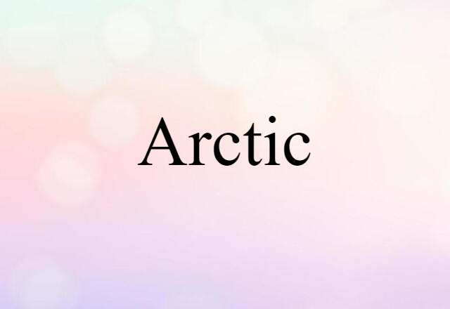 Arctic (noun) Definition, Meaning & Examples