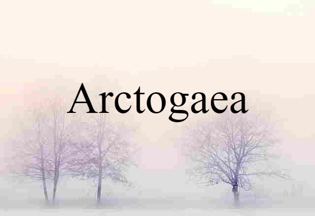 Arctogaea (noun) Definition, Meaning & Examples