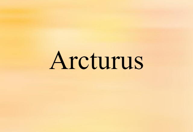 Arcturus (noun) Definition, Meaning & Examples