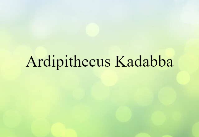 Ardipithecus kadabba