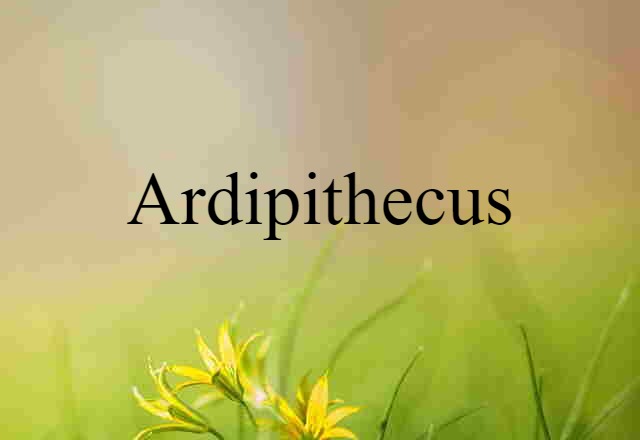 Ardipithecus (noun) Definition, Meaning & Examples