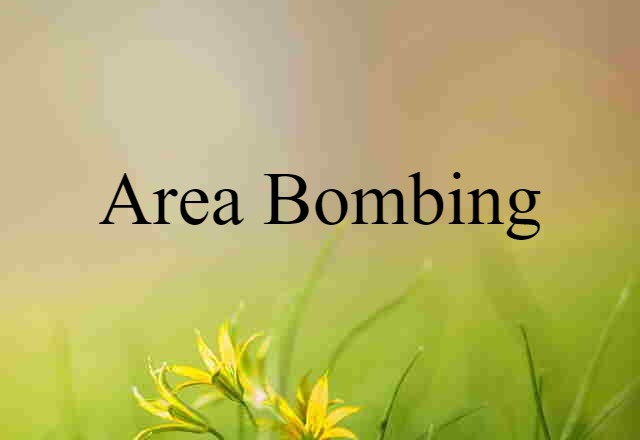 Area Bombing (noun) Definition, Meaning & Examples