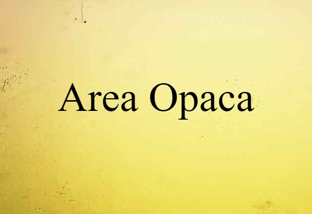 Area Opaca (noun) Definition, Meaning & Examples