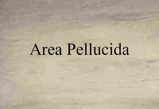 area pellucida