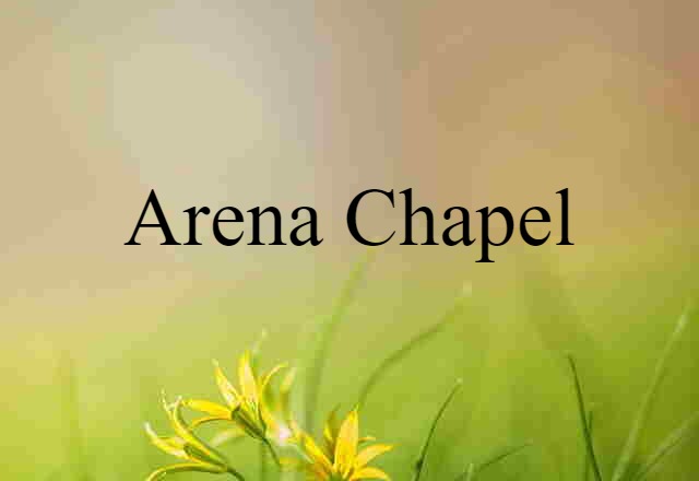 Arena Chapel (noun) Definition, Meaning & Examples