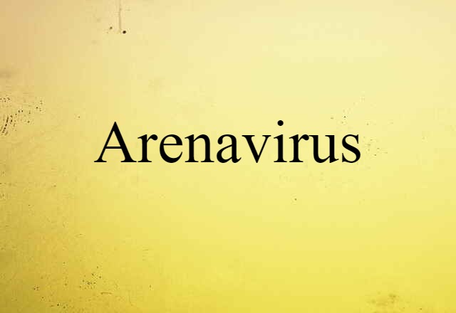 Arenavirus (noun) Definition, Meaning & Examples