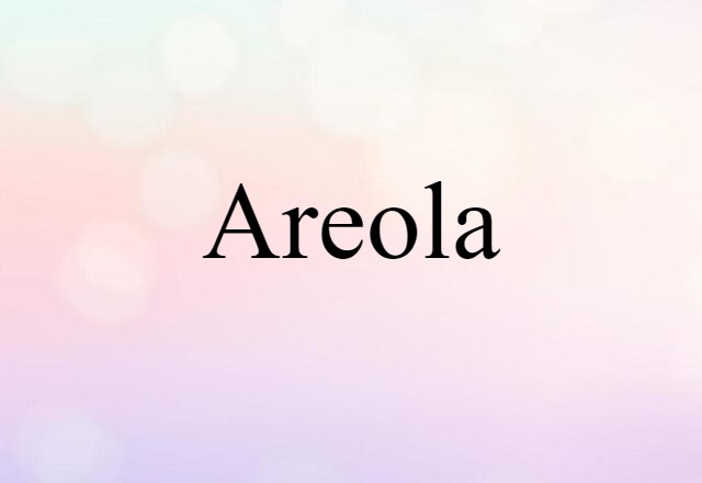 Areola (noun) Definition, Meaning & Examples