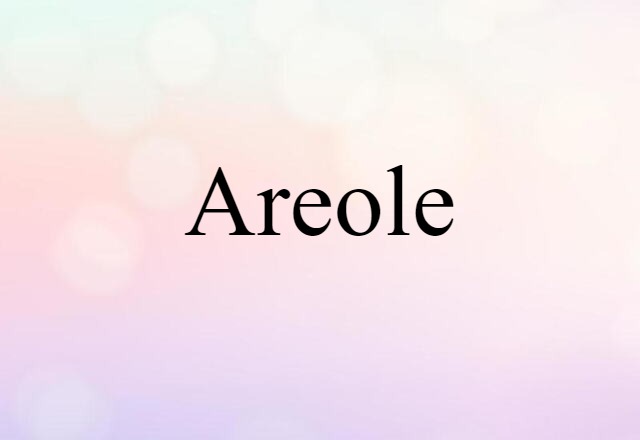 Areole (noun) Definition, Meaning & Examples