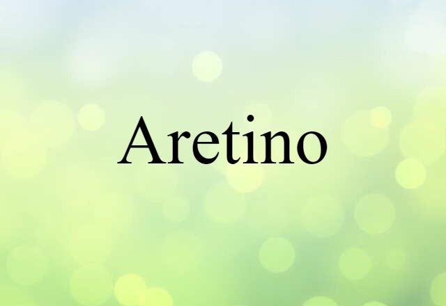 Aretino (noun) Definition, Meaning & Examples