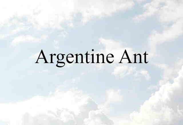 Argentine Ant (noun) Definition, Meaning & Examples