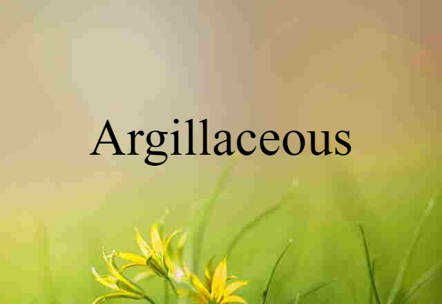 argillaceous