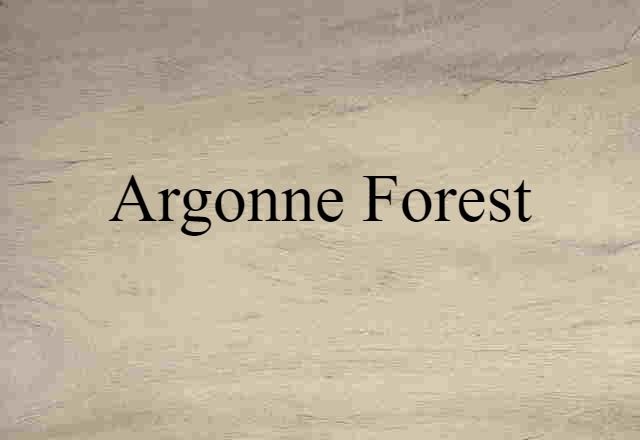 Argonne Forest (noun) Definition, Meaning & Examples