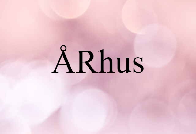 Århus (noun) Definition, Meaning & Examples