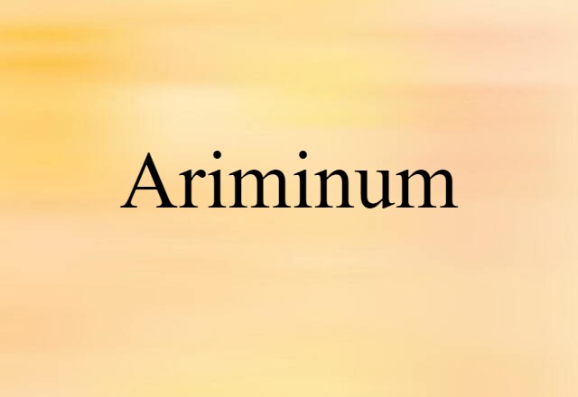 Ariminum (noun) Definition, Meaning & Examples