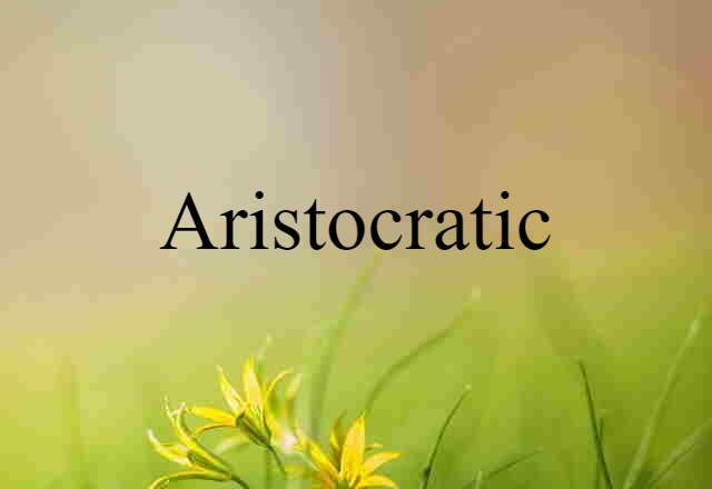 Aristocratic (noun) Definition, Meaning & Examples