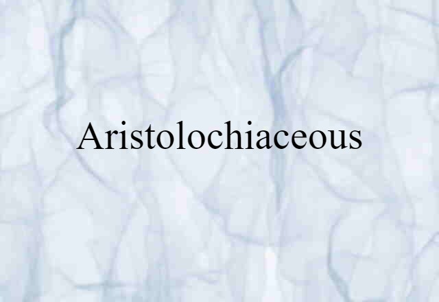 Aristolochiaceous (noun) Definition, Meaning & Examples