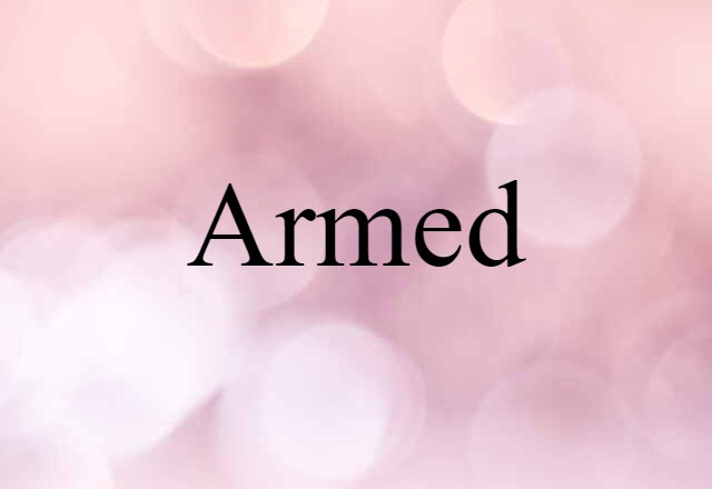 Armed (noun) Definition, Meaning & Examples