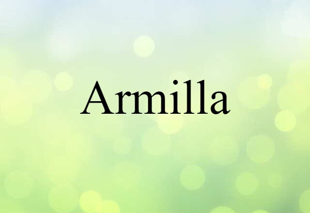 Armilla (noun) Definition, Meaning & Examples