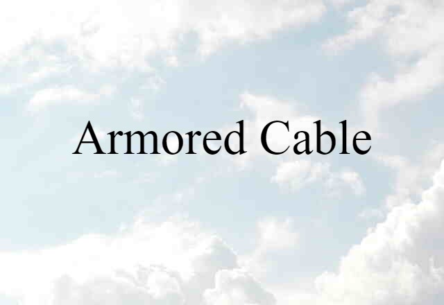 Armored Cable (noun) Definition, Meaning & Examples