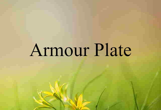 Armour Plate (noun) Definition, Meaning & Examples