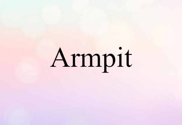 Armpit (noun) Definition, Meaning & Examples