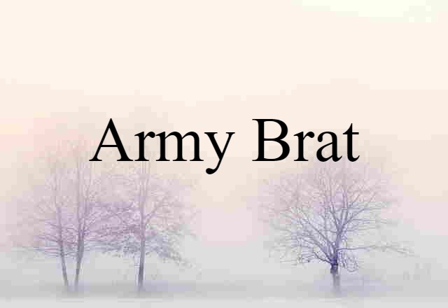 Army Brat (noun) Definition, Meaning & Examples