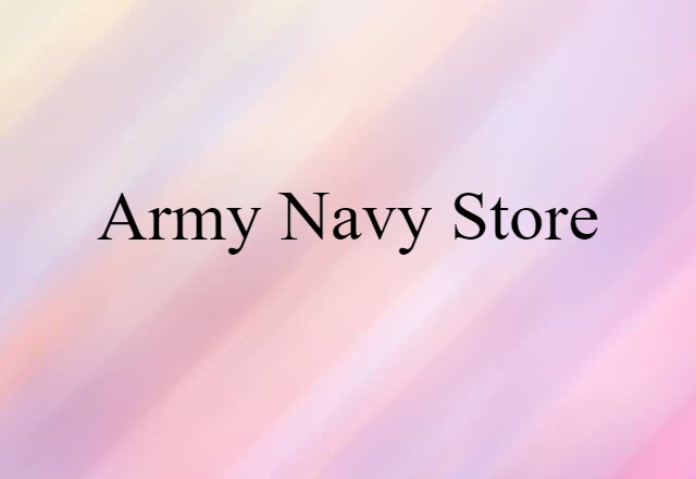 Army-navy Store (noun) Definition, Meaning & Examples