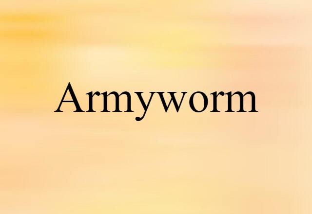 Armyworm (noun) Definition, Meaning & Examples