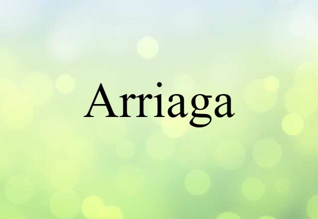 Arriaga (noun) Definition, Meaning & Examples