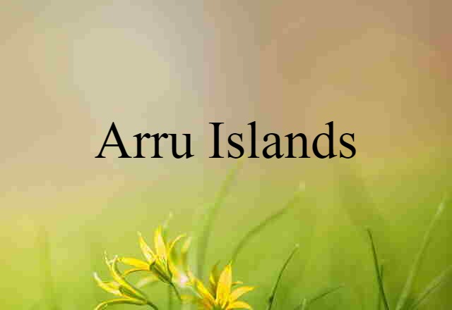 Arru Islands (noun) Definition, Meaning & Examples