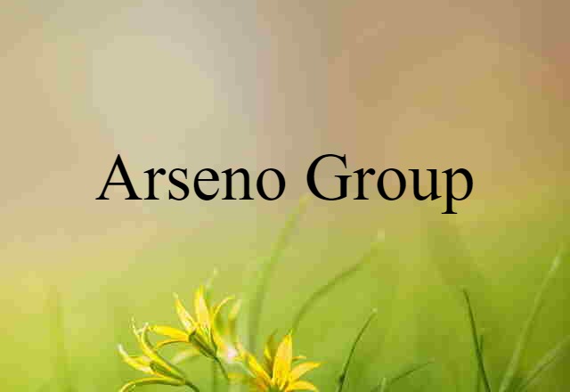 Arseno Group (noun) Definition, Meaning & Examples