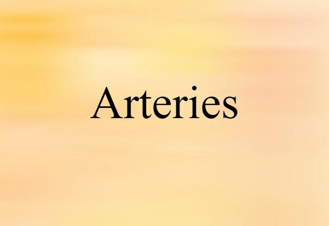 arteries