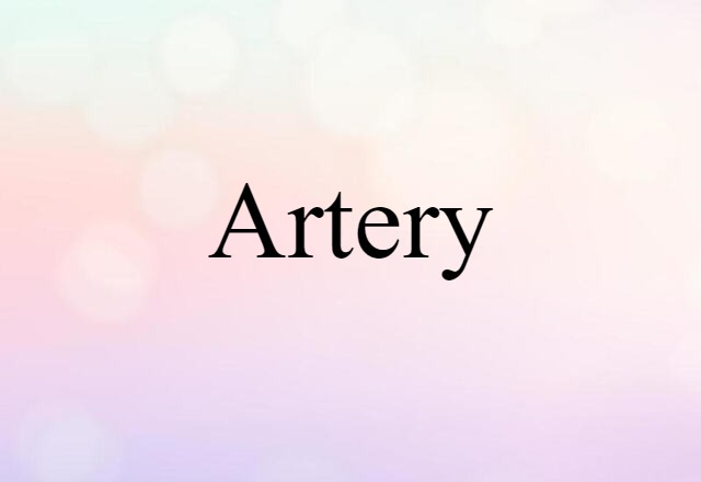 artery