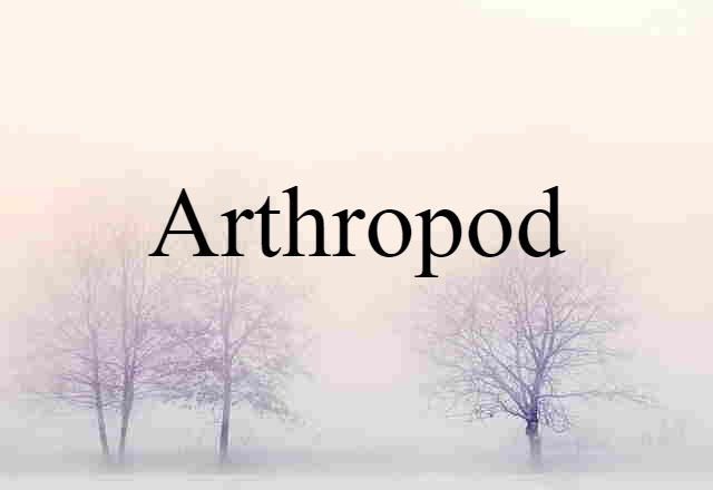 arthropod