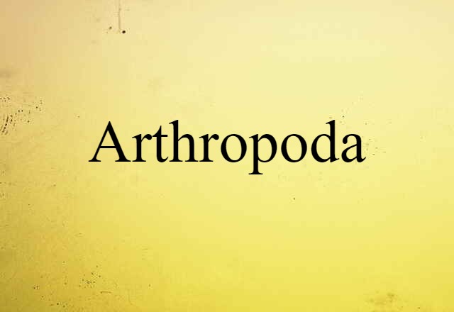 Arthropoda (noun) Definition, Meaning & Examples