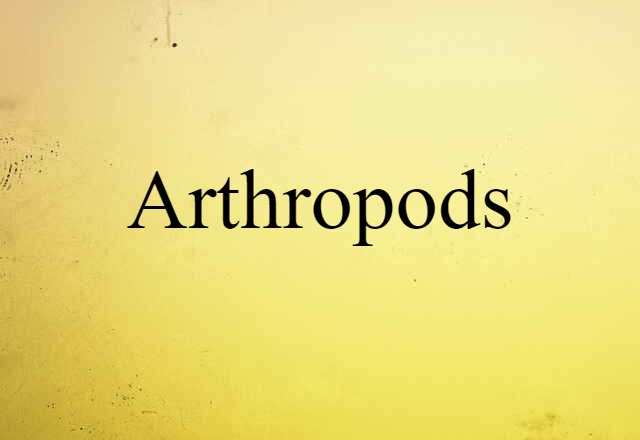 Arthropods (noun) Definition, Meaning & Examples