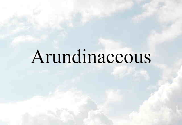 arundinaceous