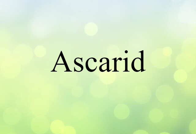 Ascarid (noun) Definition, Meaning & Examples