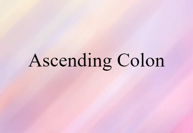 Ascending Colon (noun) Definition, Meaning & Examples