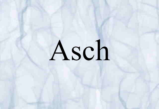 Asch (noun) Definition, Meaning & Examples