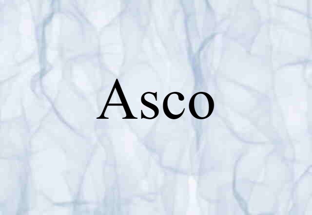 Asco (noun) Definition, Meaning & Examples