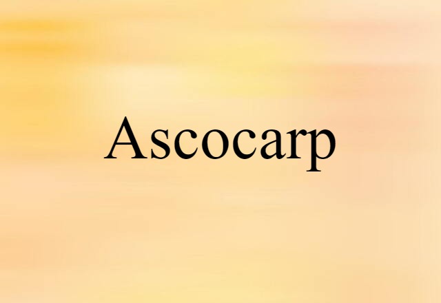 ascocarp