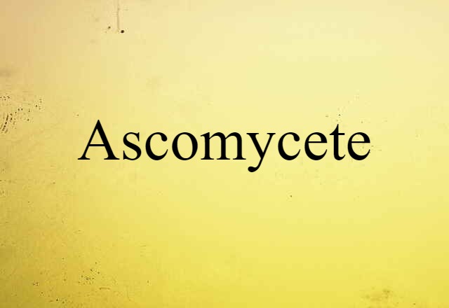 ascomycete