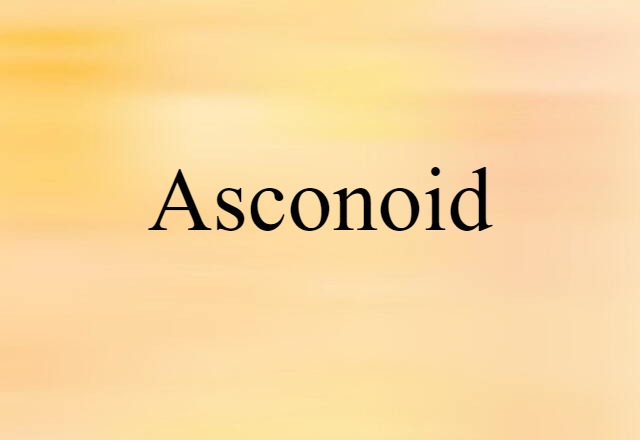 asconoid