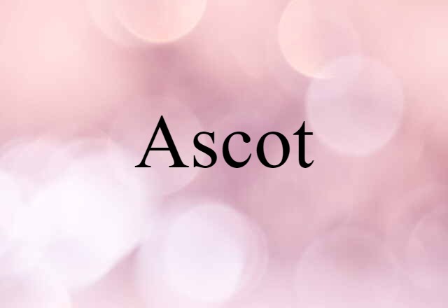 Ascot (noun) Definition, Meaning & Examples