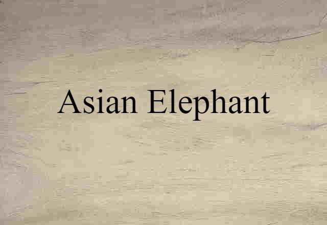 Asian Elephant (noun) Definition, Meaning & Examples