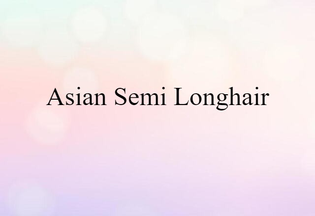 Asian semi longhair