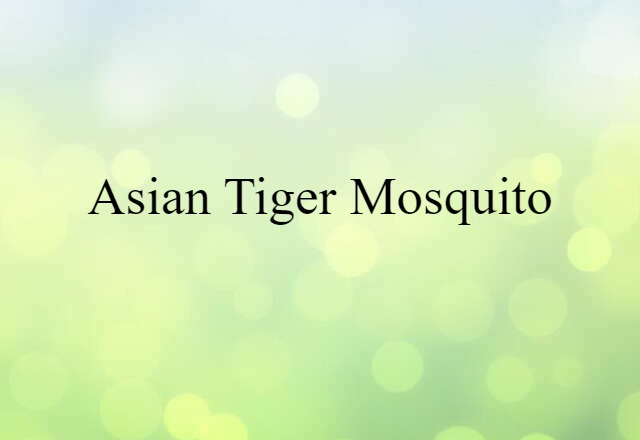 Asian Tiger Mosquito (noun) Definition, Meaning & Examples