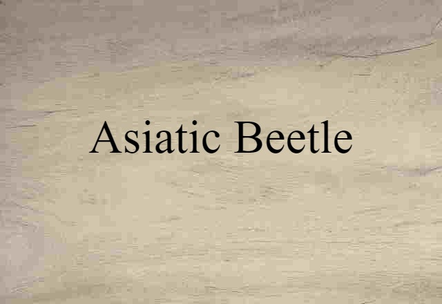 Asiatic beetle