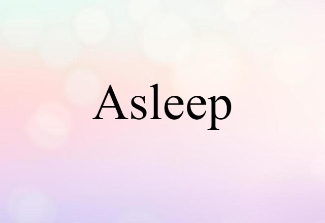 Asleep (noun) Definition, Meaning & Examples